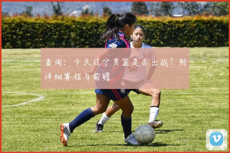 查询：今天辽宁男篮是否出战？附详细赛程与前瞻